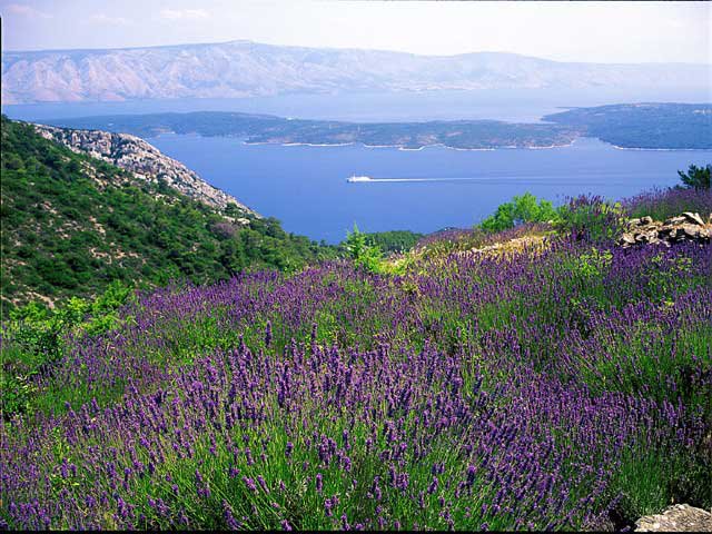 Yachtcharter mit Crew in Kroatien