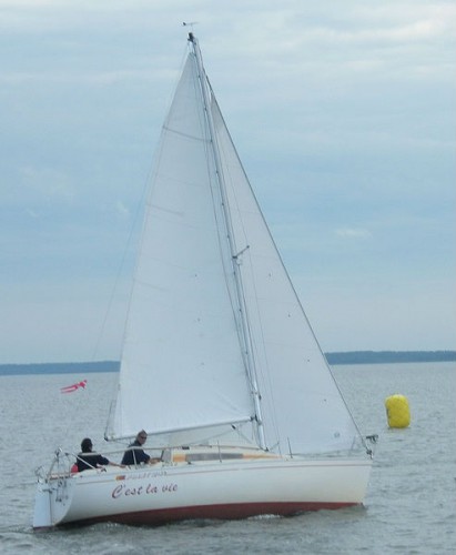 Segelboot First 24