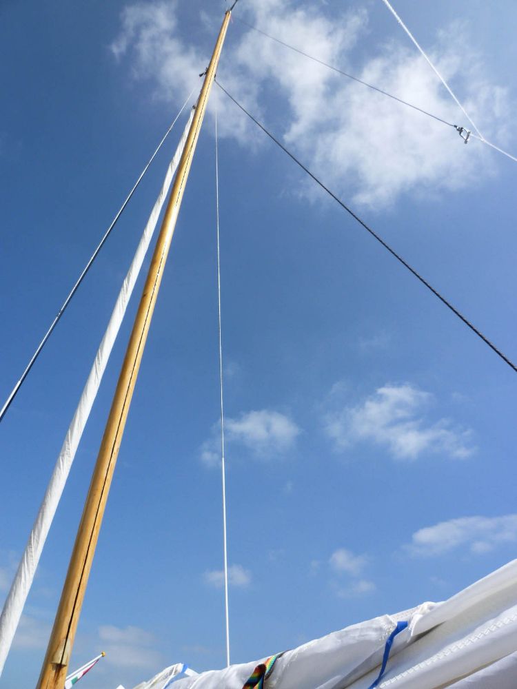 fh-Antares Mast