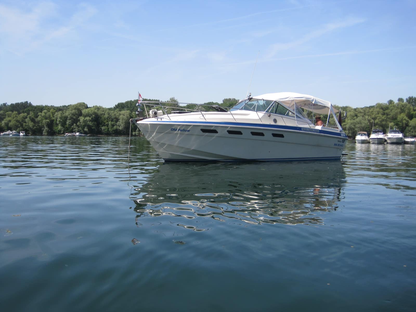 Wellcraft Suncruiser 310