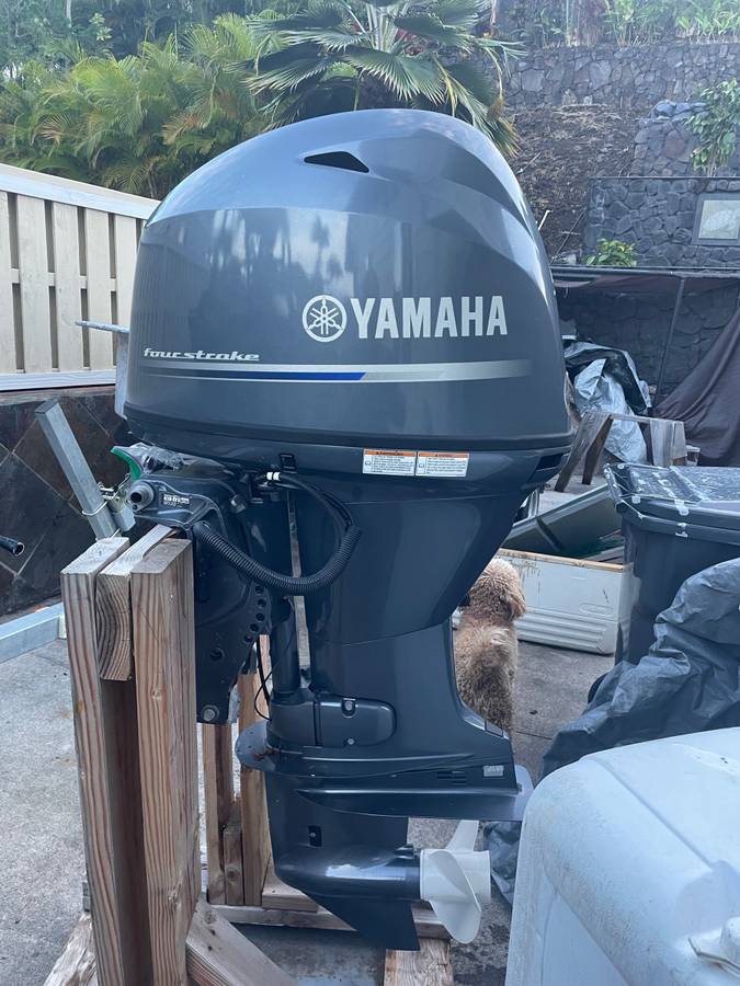 Yamaha 50 hp 552